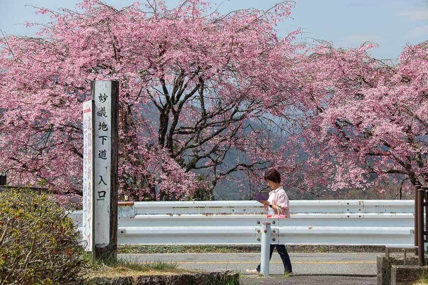 ⛩️ 묘우기 신사 이미지 8